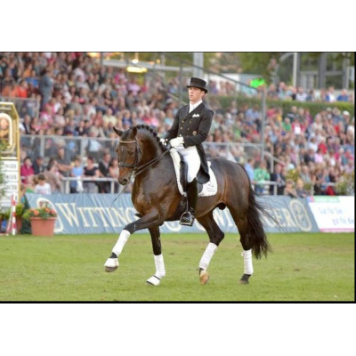 herzensdieb_bewegung