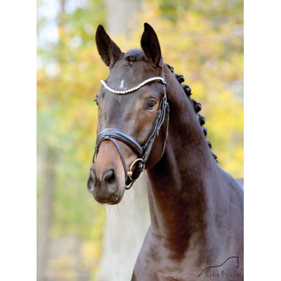 kopf_dameron-kopf-beelitz